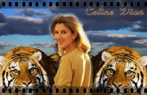 celine tiger|Magical Childhood Moments with Celine the Tiger.